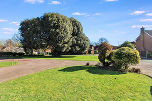 Photo 20- click for photo gallery